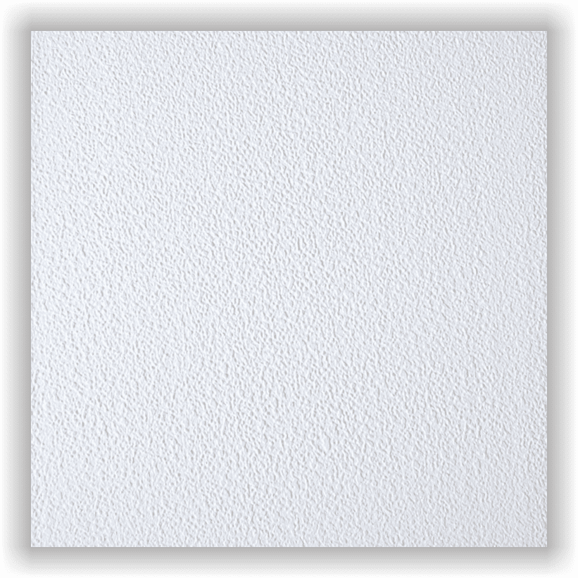 Placa Horpac DUNA Borde Visto 610 x 610 x 13 ( x Unidad )